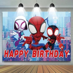 Birthday backdrop 6 Spidey Backdrops Base