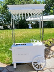 Cart - Champagne Cart/Flower/Candy Cart