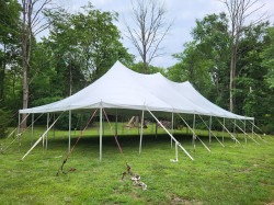 t604 1737397429 Tent 30'x60' Party Tent